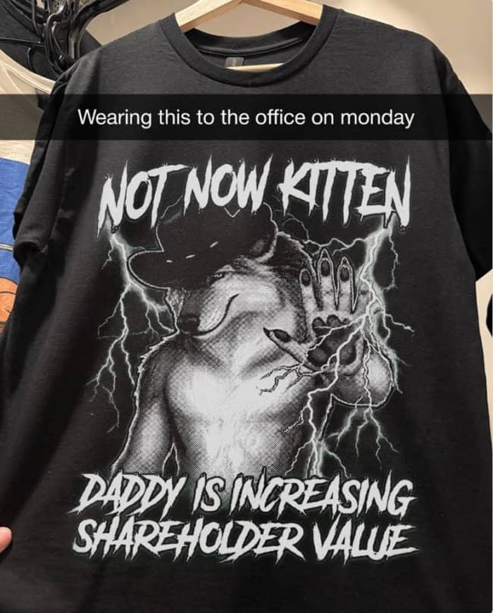 not now kitten