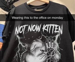 not now kitten