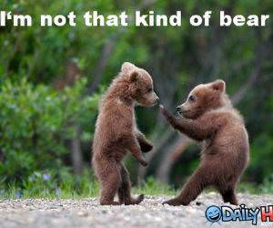 Not That Kind of Bear funny picture