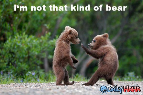 Not That Kind of Bear funny picture