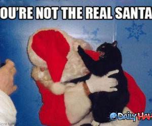 Real Santa funny picture