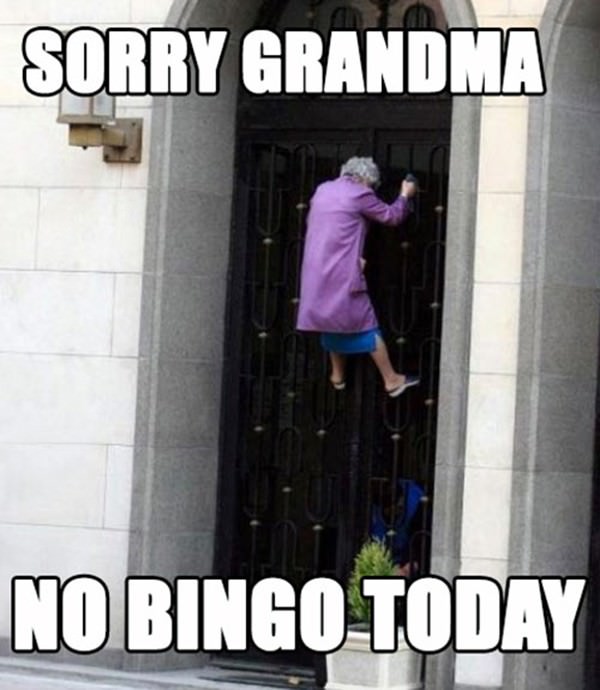 Not Today Grandma funny picture