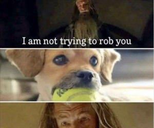 not trying to rob you