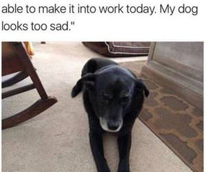 not coming into work today funny picture