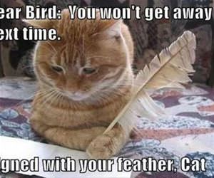 not getting away next time funny picture