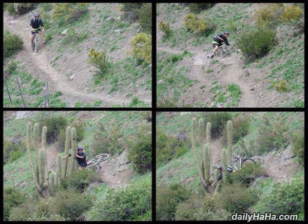 not having a good day funny picture