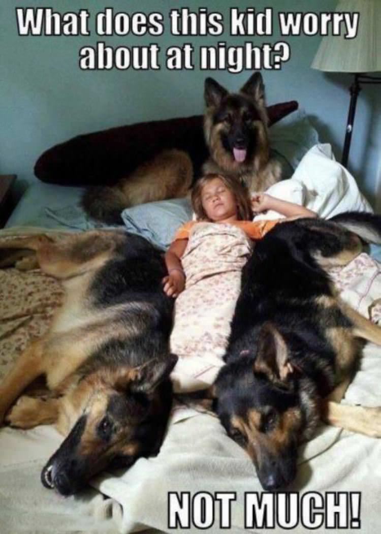 not much worry funny picture