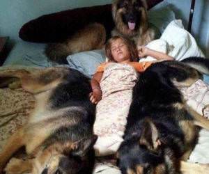 not much worry funny picture