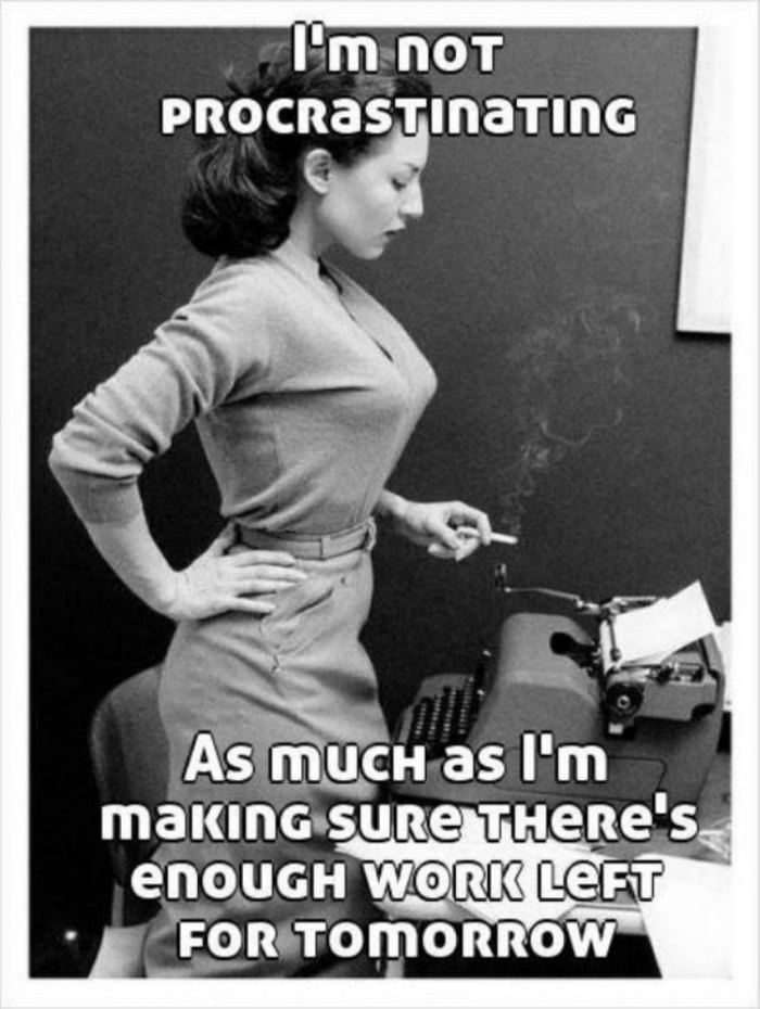 not procrastinating funny picture