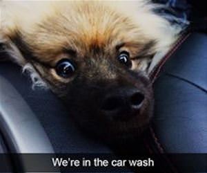 not really enjoying the car wash funny picture