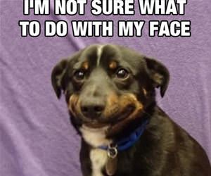 not sure what to do here funny picture