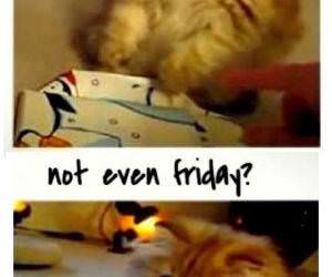 not the weekend yet funny picture