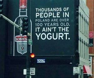 not the yogurt funny picture