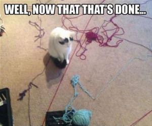 now that is done funny picture