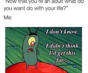 now that you are an adult funny picture