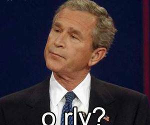 O Rly says Bush