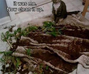 of course it was me funny picture