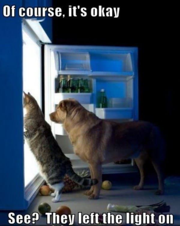 of course its ok funny picture