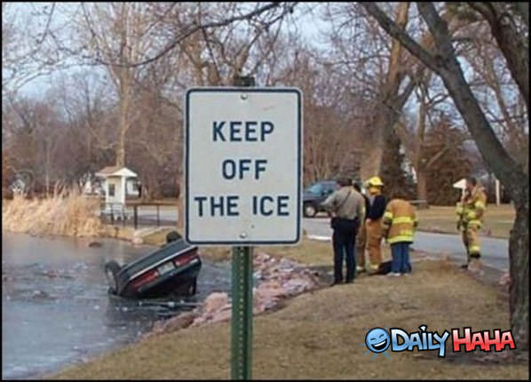 Off the Ice funny picture