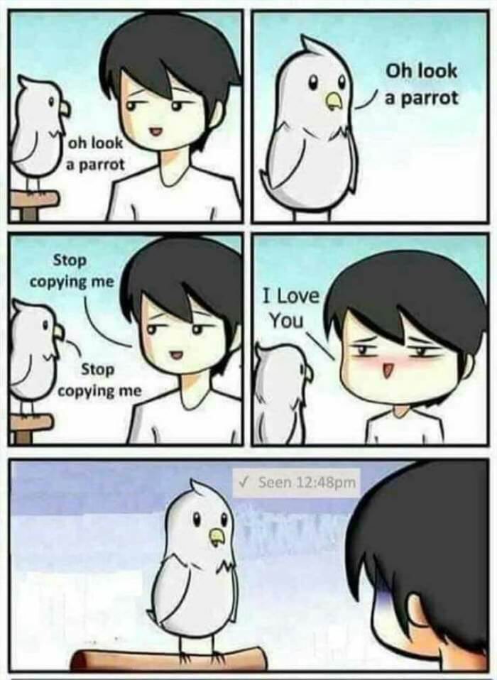 oh look a parrot