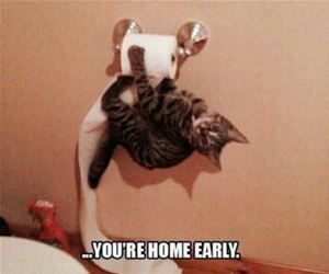 oh hey funny picture