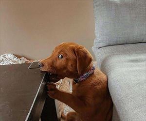 ok i guess you caught me