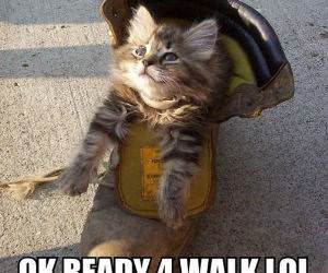 Ready 4 Walk funny picture