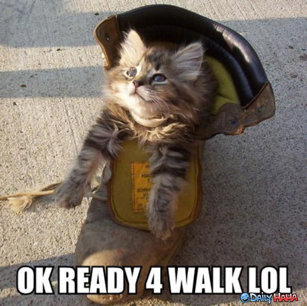 Ready 4 Walk funny picture
