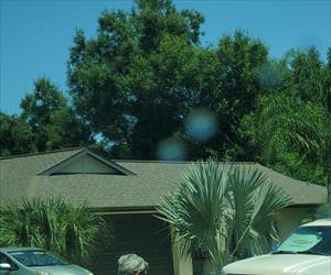 old people can have fun too