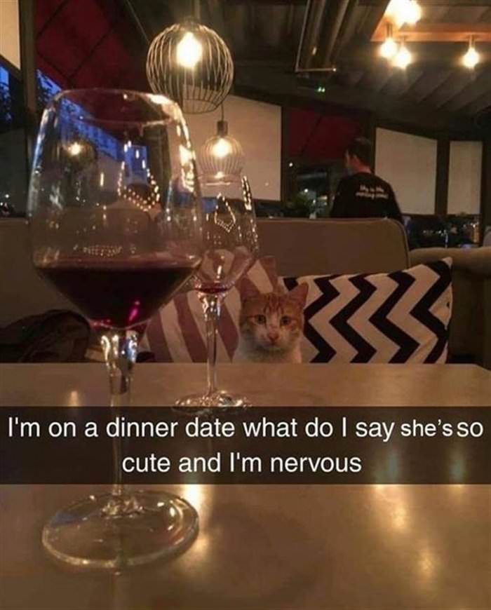 on a dinner date
