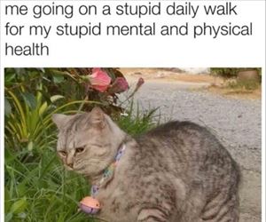 on a stupid walk ... 2