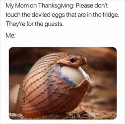 on thanksgiving
