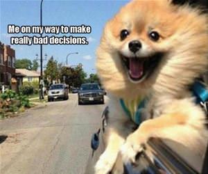 on my way funny picture