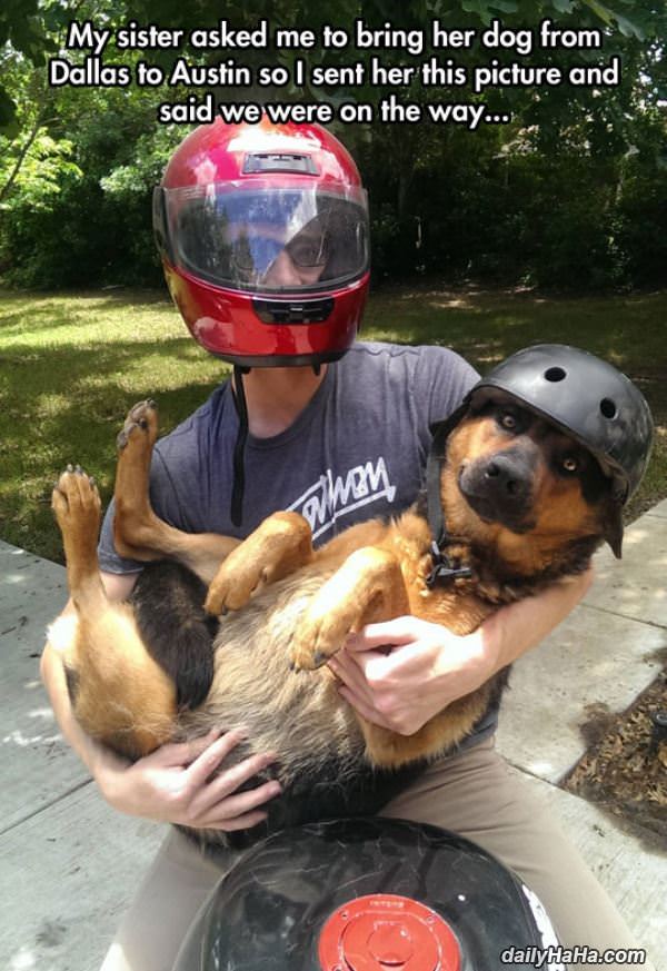 on our way funny picture