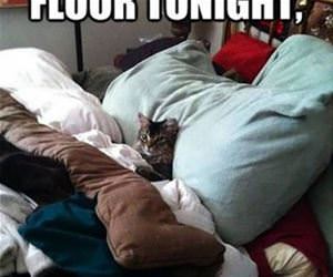 on the floor funny picture