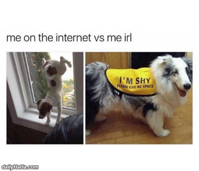 on the internet vs real life funny picture