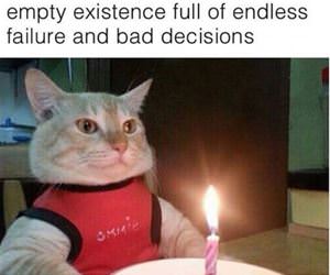 once again funny picture