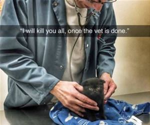 once the vet is done funny picture