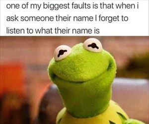 one of my biggest faults ... 2