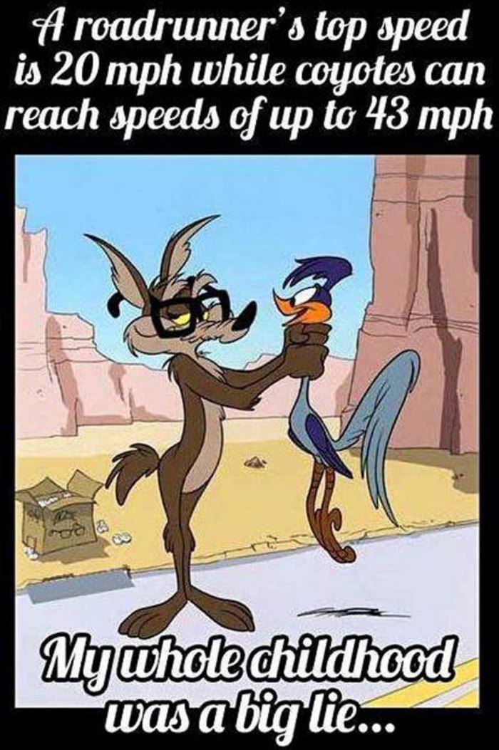 one big lie funny picture