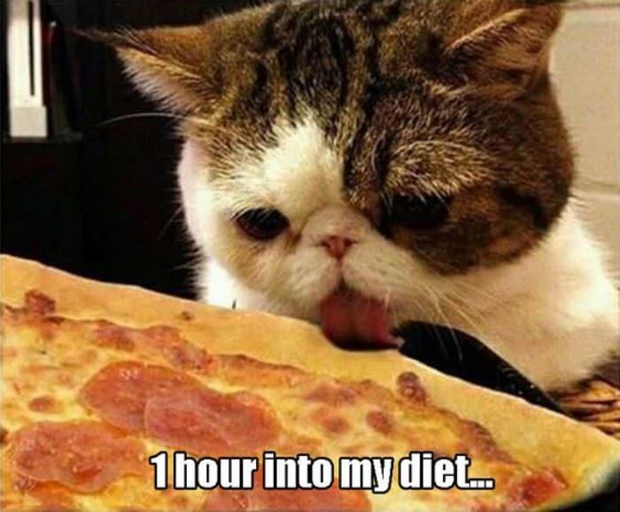 one hour into my diet funny picture