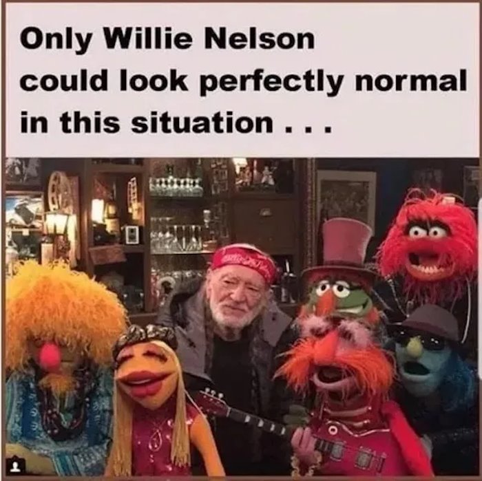 only willie