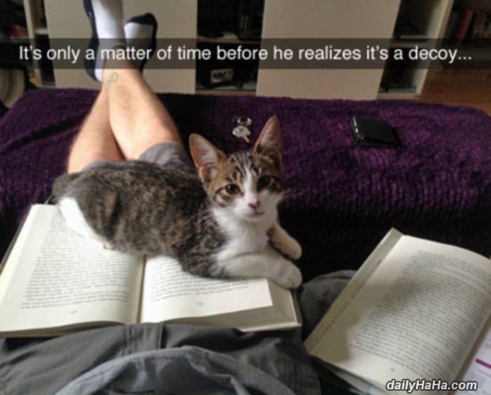 only a matter of time funny picture