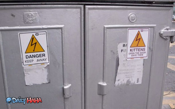 Open Door Save Kittens funny picture