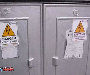 Open Door Save Kittens funny picture