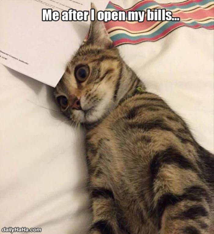 opened my bills funny picture