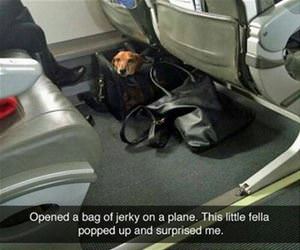 opened some jerky funny picture