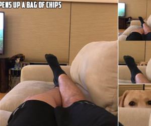 opens a bag of chips funny picture