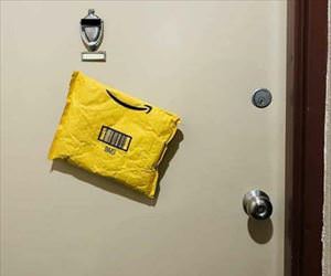 ordered some magnets