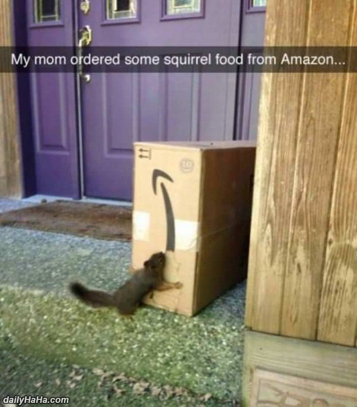 ordered squirrel food from amazon funny picture